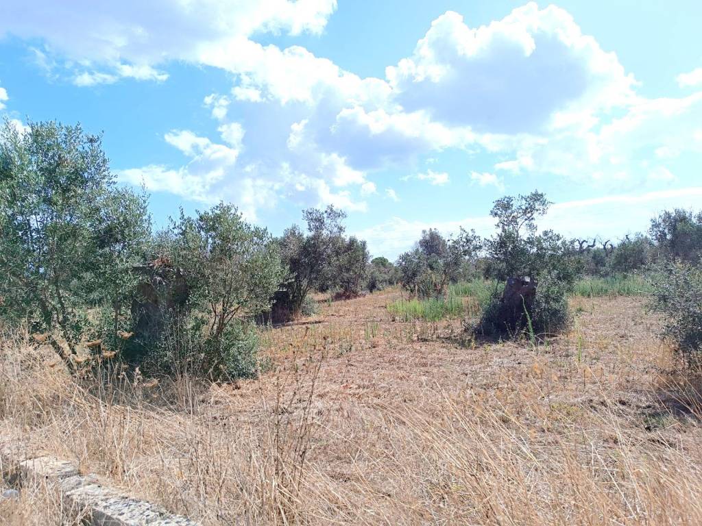 Terreno a Andrano in Strada Comunale Masseria Nuova - Foto 4