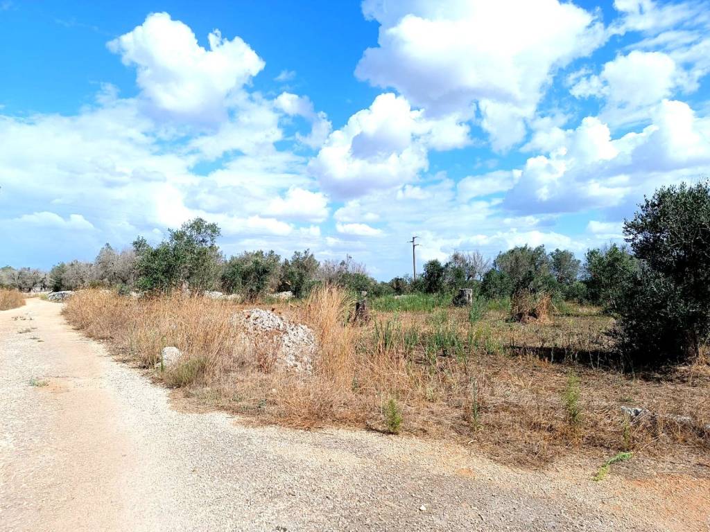 Terreno a Andrano in Strada Comunale Masseria Nuova - Foto 5