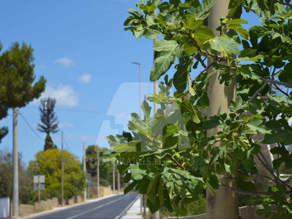 Appartamento a Castrignano del capo in Via Enea, 144 - Foto 2