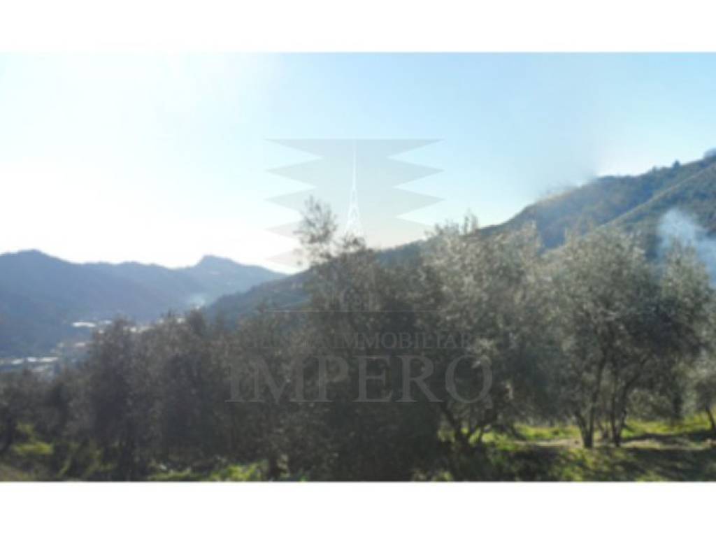 Terreno a Dolceacqua in Via Monsignore Tornatore - Foto 4