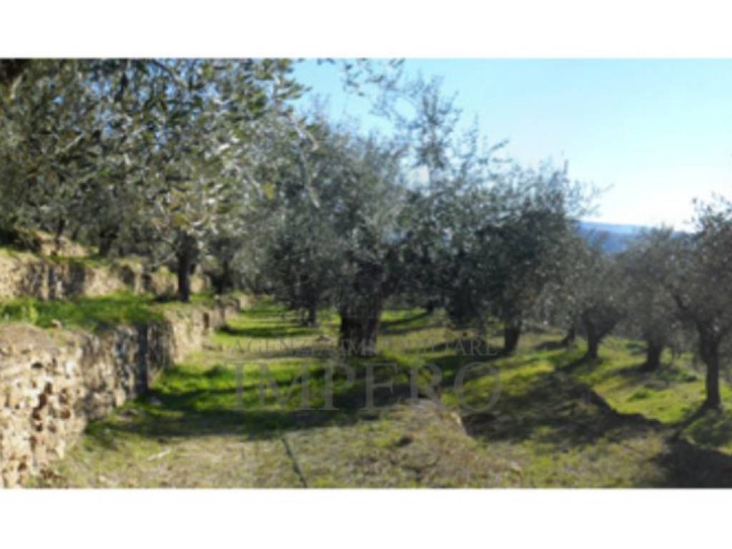 Terreno a Dolceacqua in Via Monsignore Tornatore - Foto 5
