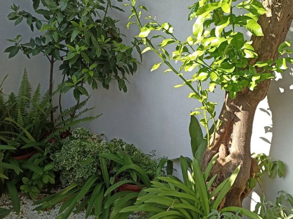 Appartamento a Dolianova - Foto 5