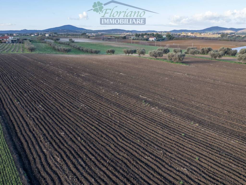 Rustico / casale a Montalto di castro in Località Ara Vecchia - Foto 3
