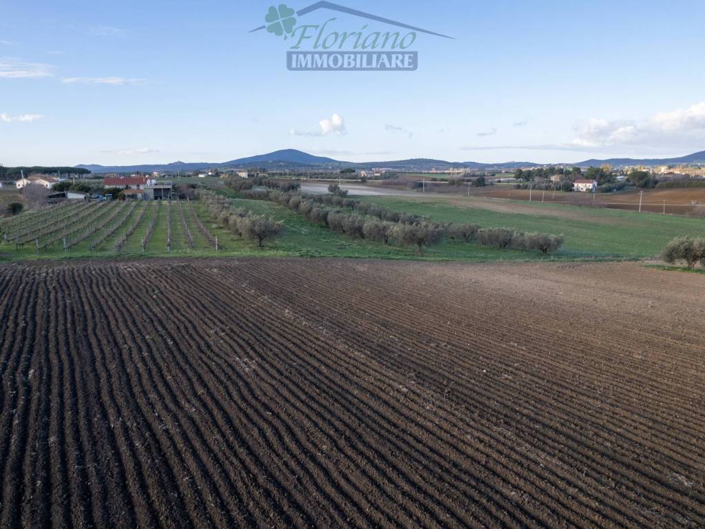 Rustico / casale a Montalto di castro in Località Ara Vecchia - Foto 4