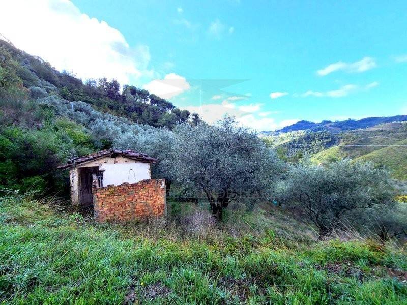 Terreno a Perinaldo in Località Curl - Foto 2