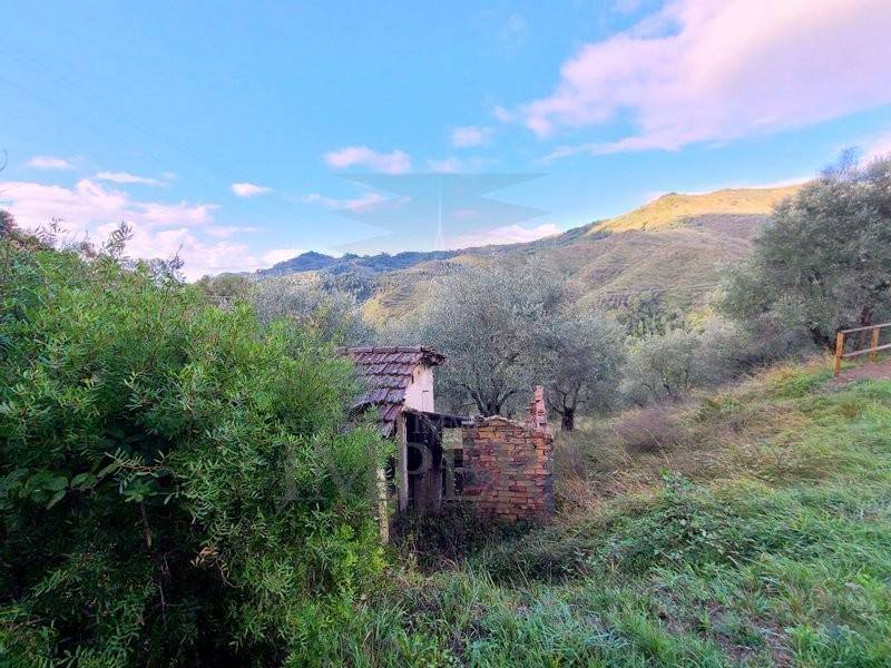 Terreno a Perinaldo in Località Curl - Foto 5