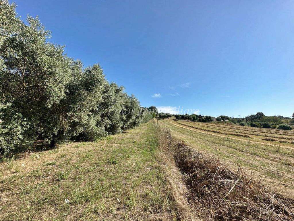 Terreno a Fermo in Via Pompeiana, 314 - Foto 2