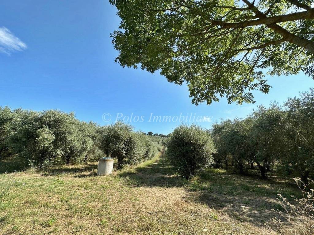 Terreno a Fermo in Via Pompeiana, 314 - Foto 4