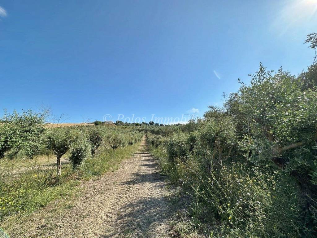 Terreno a Fermo in Via Pompeiana, 314 - Foto 5