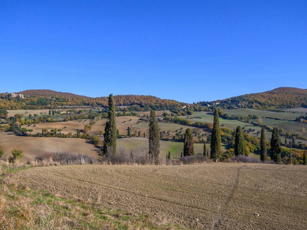 Immobile a Asciano in ASCIANO - Foto 4