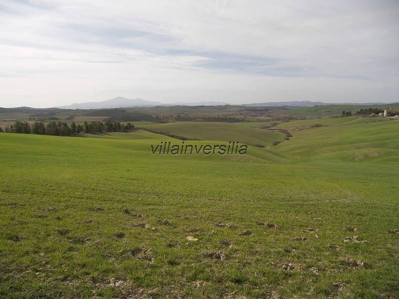 Terreno a Asciano - Foto 4