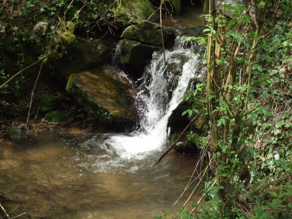 Rustico / casale a Manta in Via Valcrosa - Foto 5