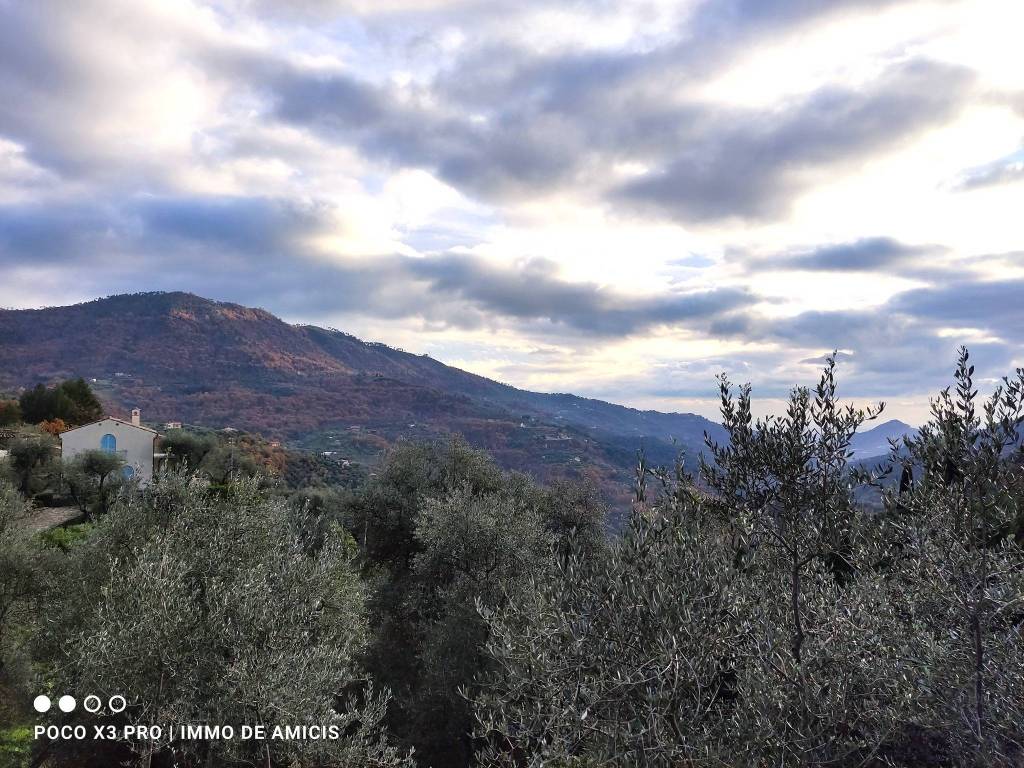 Terreno a Perinaldo in Località Zuardo - Foto 2