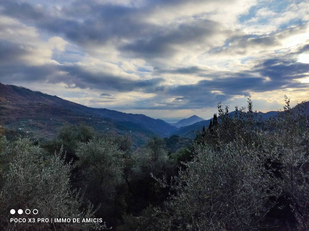 Terreno a Perinaldo in Località Zuardo - Foto 3