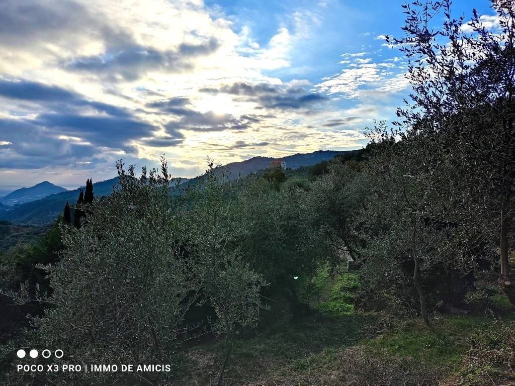 Terreno a Perinaldo in Località Zuardo - Foto 5