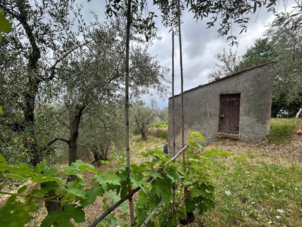 Terreno a Arcola - Foto 4