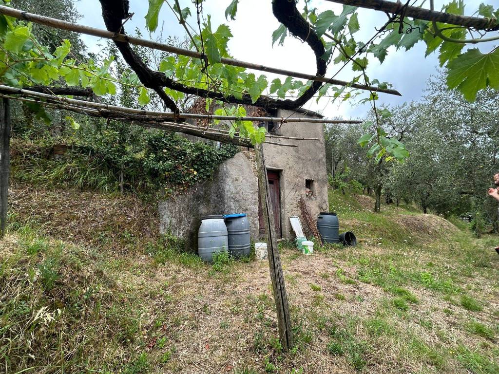 Terreno a Arcola - Foto 2