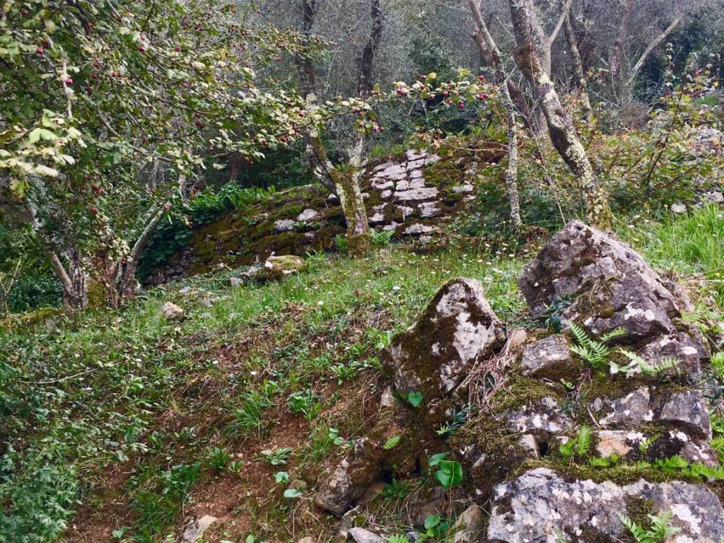 Appartamento a Ameglia - Foto 5