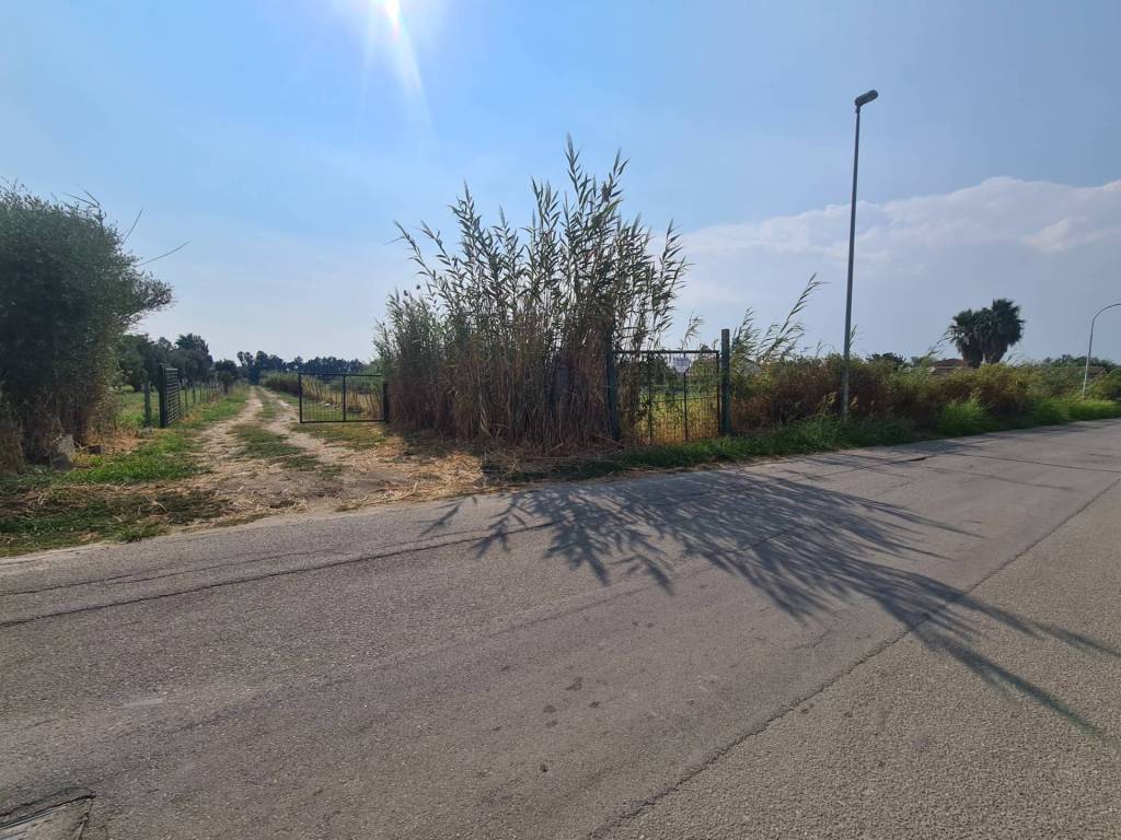 Terreno a Sellia marina in Viale delle mimose - Foto 5
