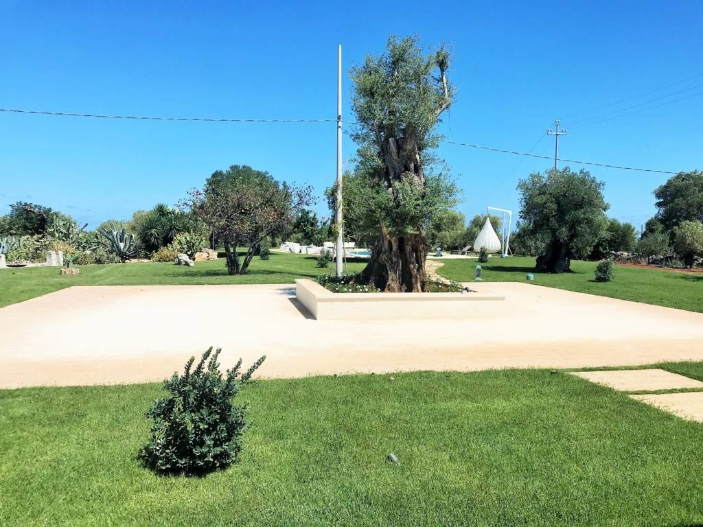 Rustico / casale a Fasano in Contrada Ottava - Foto 2