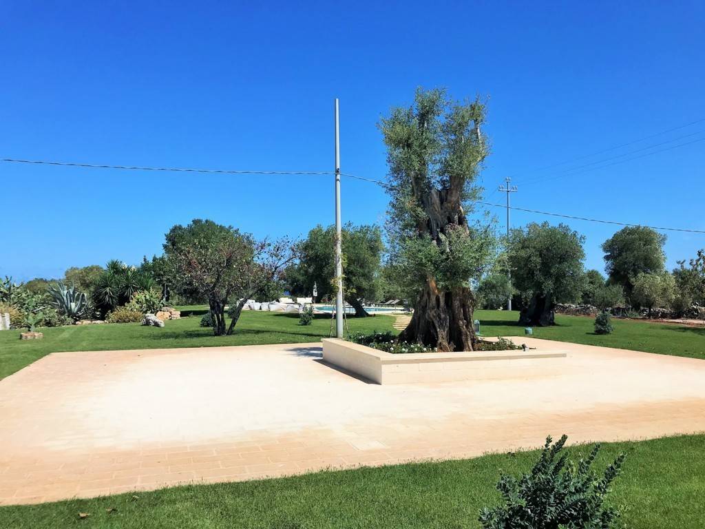 Rustico / casale a Fasano in Contrada Ottava - Foto 5