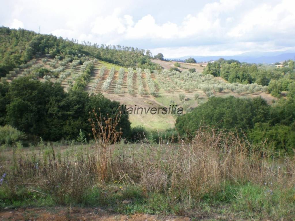 Casa indipendente a Manciano - Foto 3