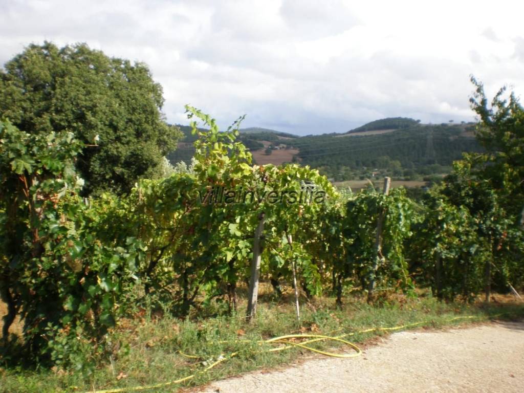 Casa indipendente a Manciano - Foto 4