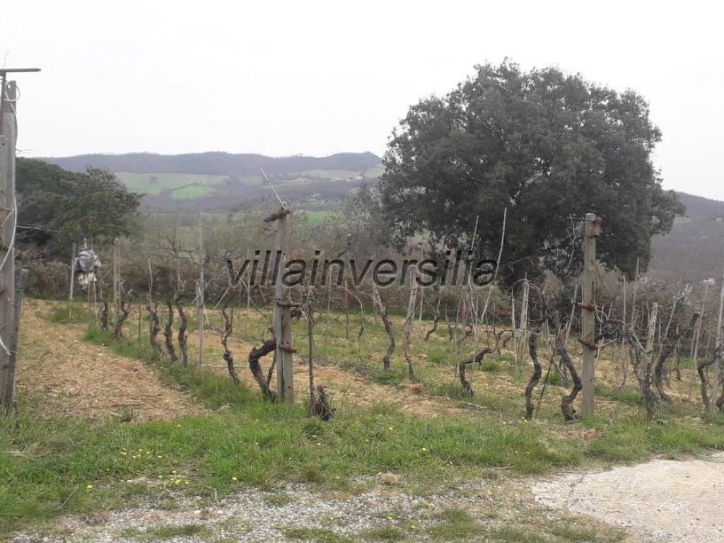 Casa indipendente a Manciano - Foto 5