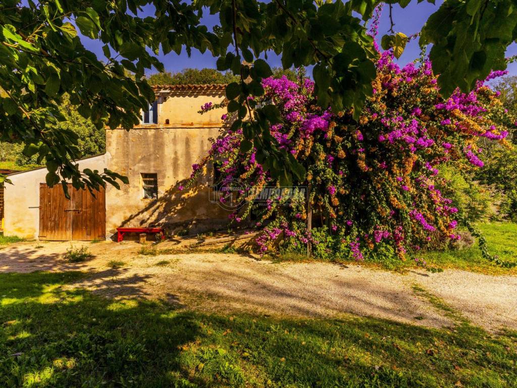 Casa indipendente a Civitanova marche in Contrada San Savino - Foto 5