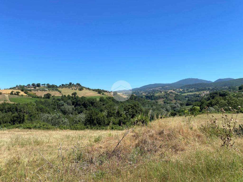 Terreno a Montebuono in Vocabolo Monache - Foto 4