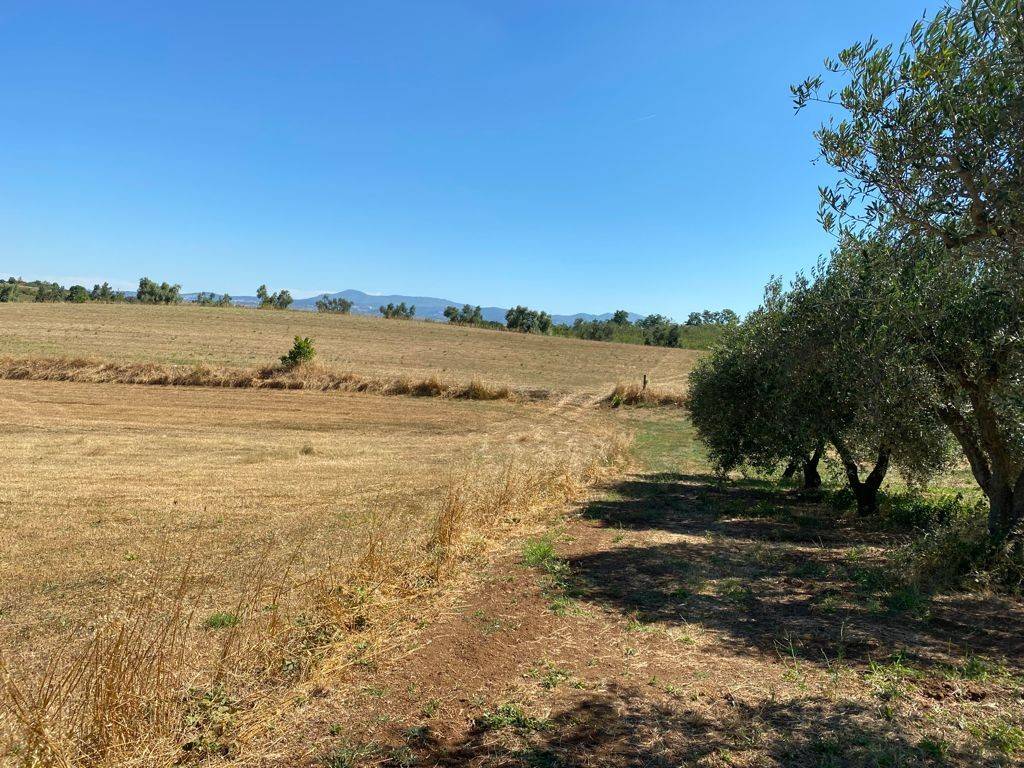 Terreno a Aprilia in Via Vallelata - Foto 5