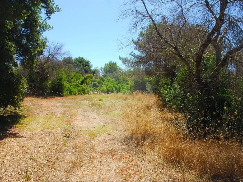 Terreno a Morciano di leuca in Strada Comunale Morciano Barbarano - Foto 3
