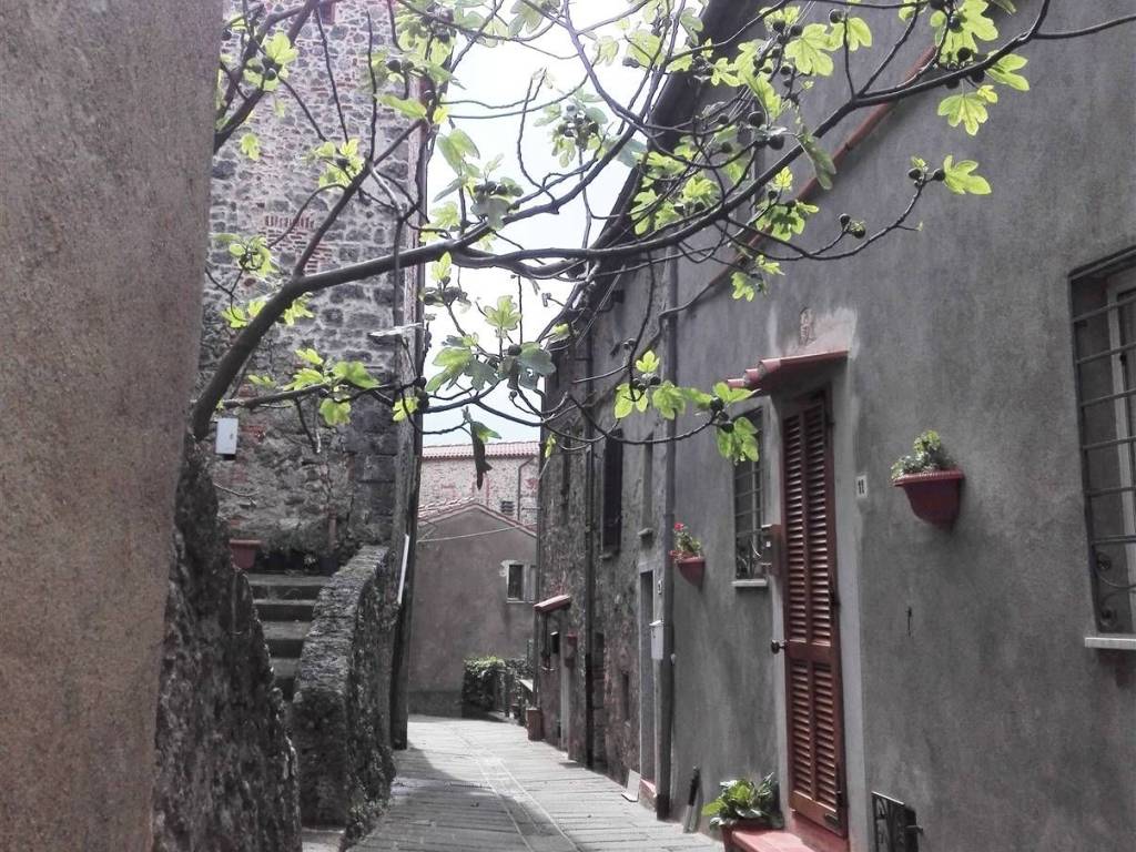 Appartamento a Massa marittima - Foto 3