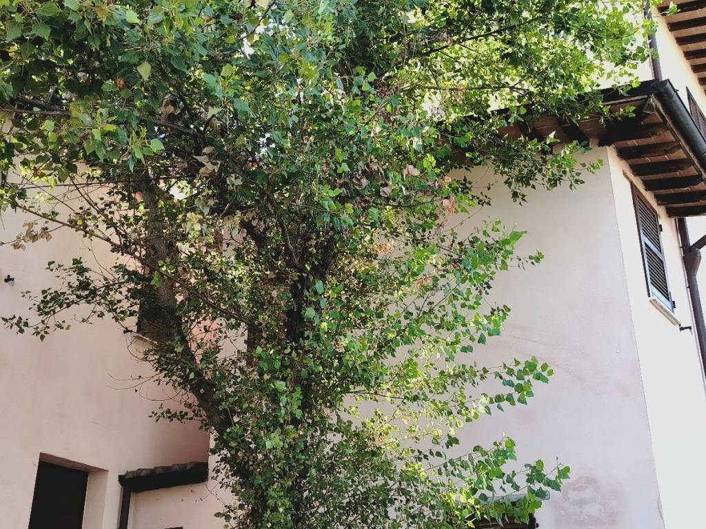 Casa indipendente a Gualdo tadino in Petroia - Foto 3