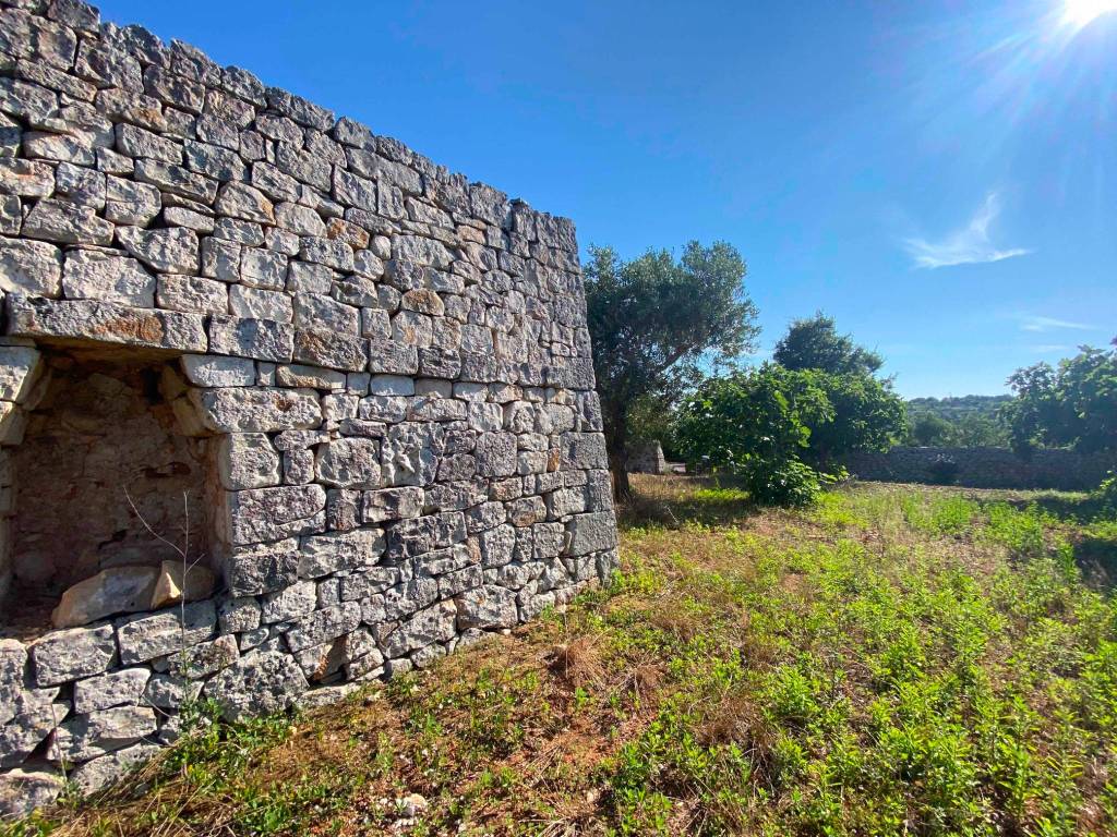 Rustico / casale a Ostuni in SP16 - Foto 4
