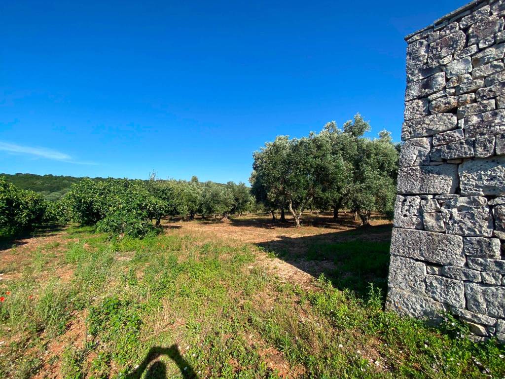 Rustico / casale a Ostuni in SP16 - Foto 5