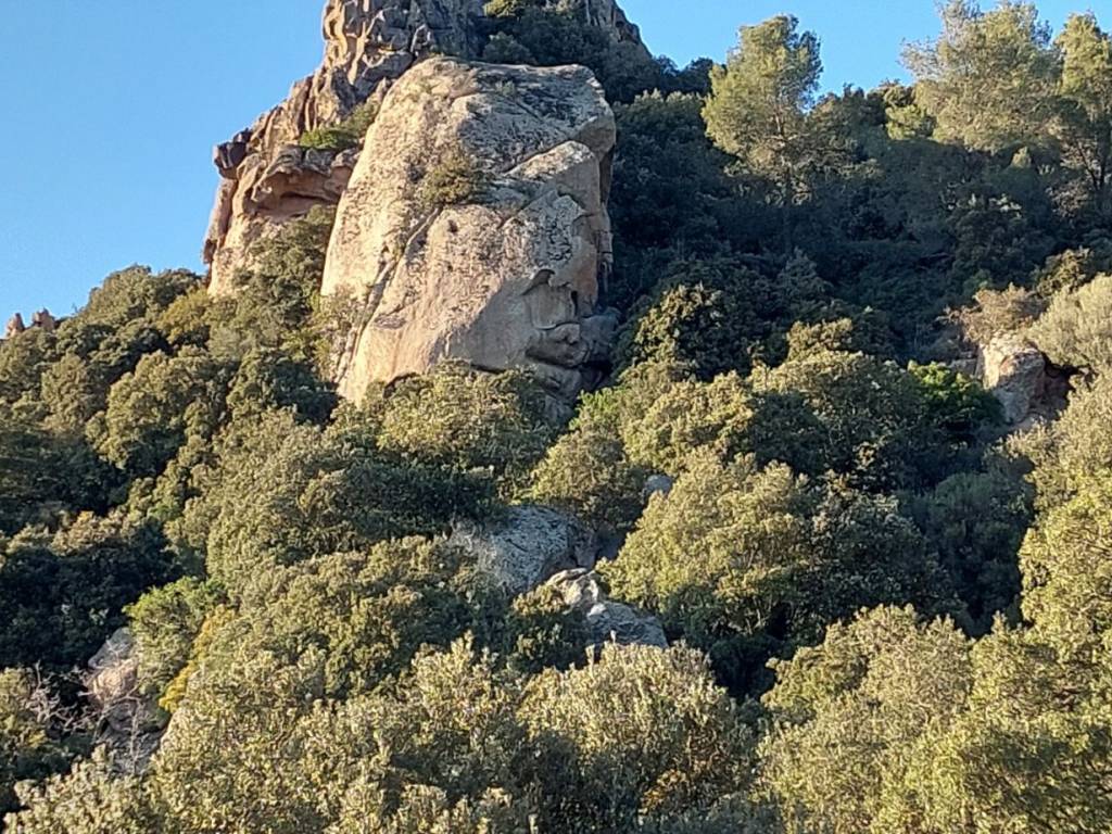 Terreno a Nuoro - Foto 3