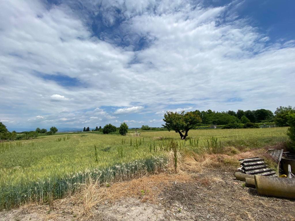 Rustico / casale a Oppeano - Foto 2