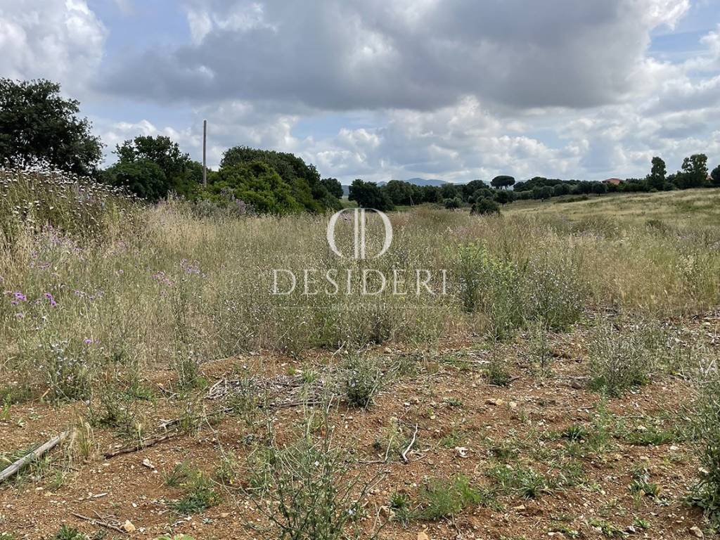 Terreno a Montalto di castro in via Querciolaie , - Foto 2