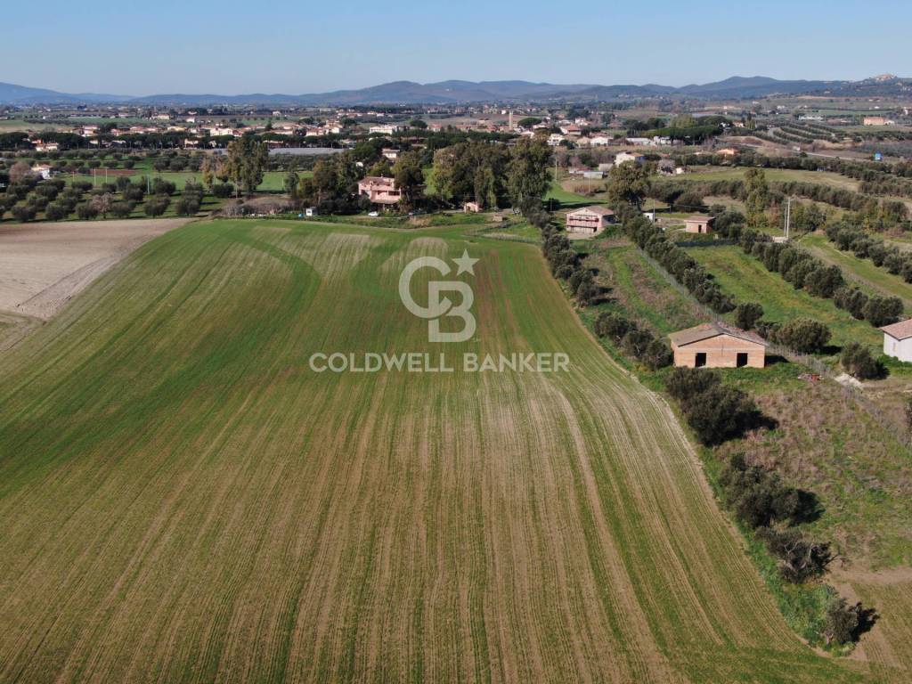 Terreno a Montalto di castro in Località Chiesa Vecchia - Foto 4