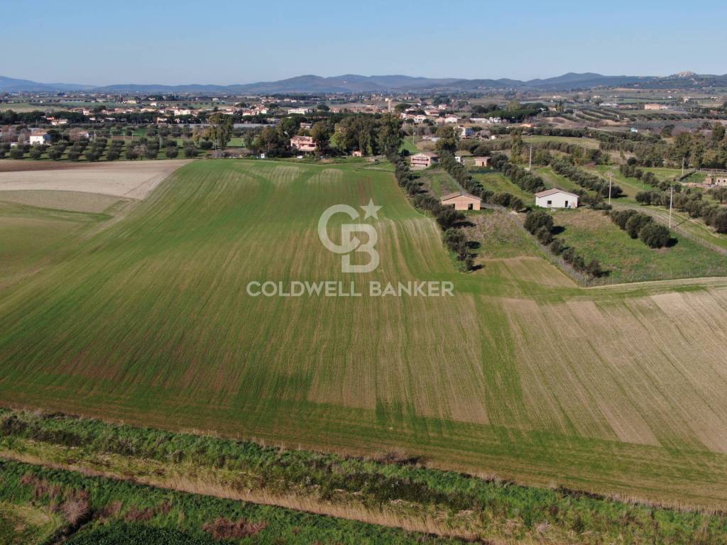 Terreno a Montalto di castro in Località Chiesa Vecchia - Foto 5