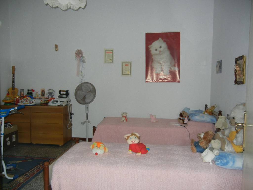 Appartamento a Rosignano marittimo - Foto 5