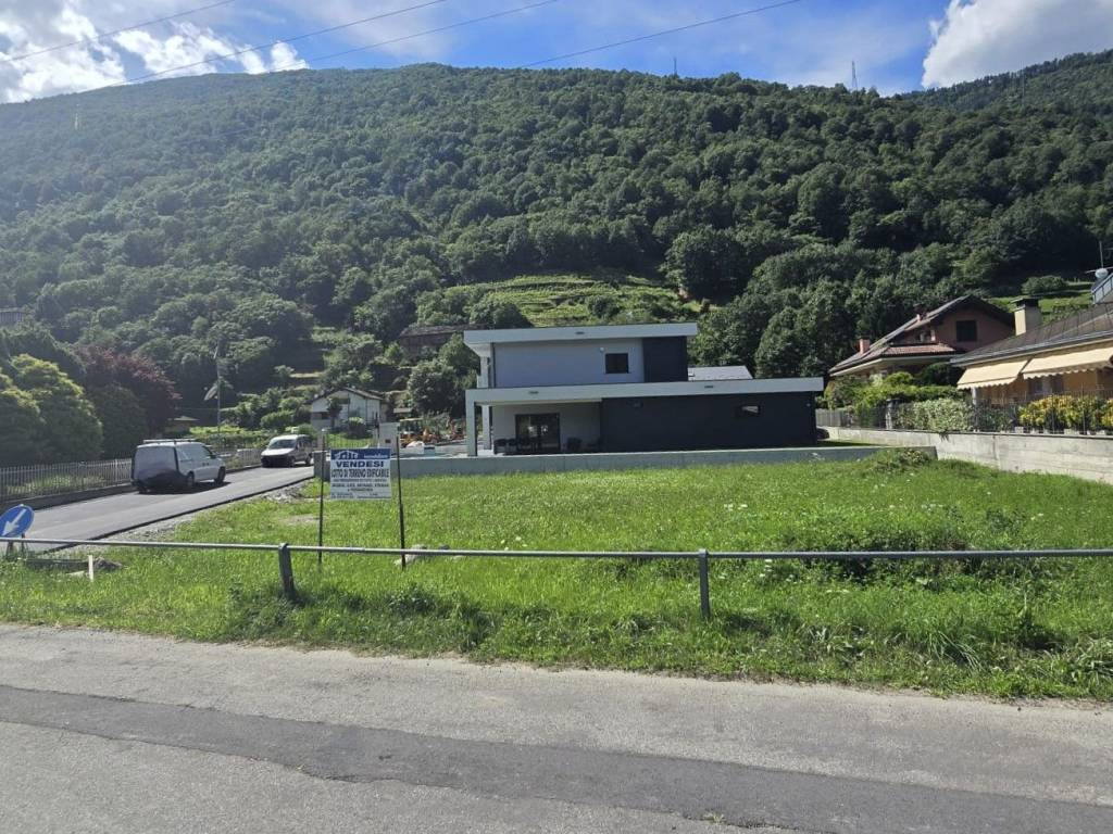 immagine di copertina