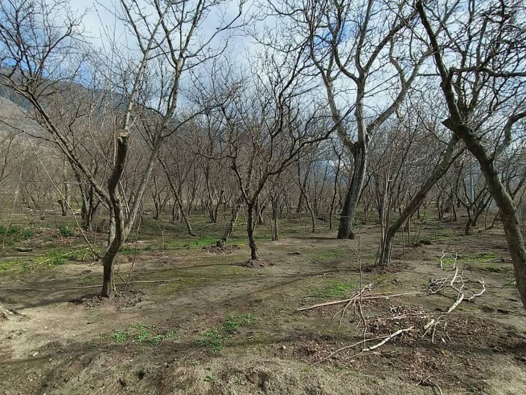 Terreno a Avella in Via Carrara - Foto 2