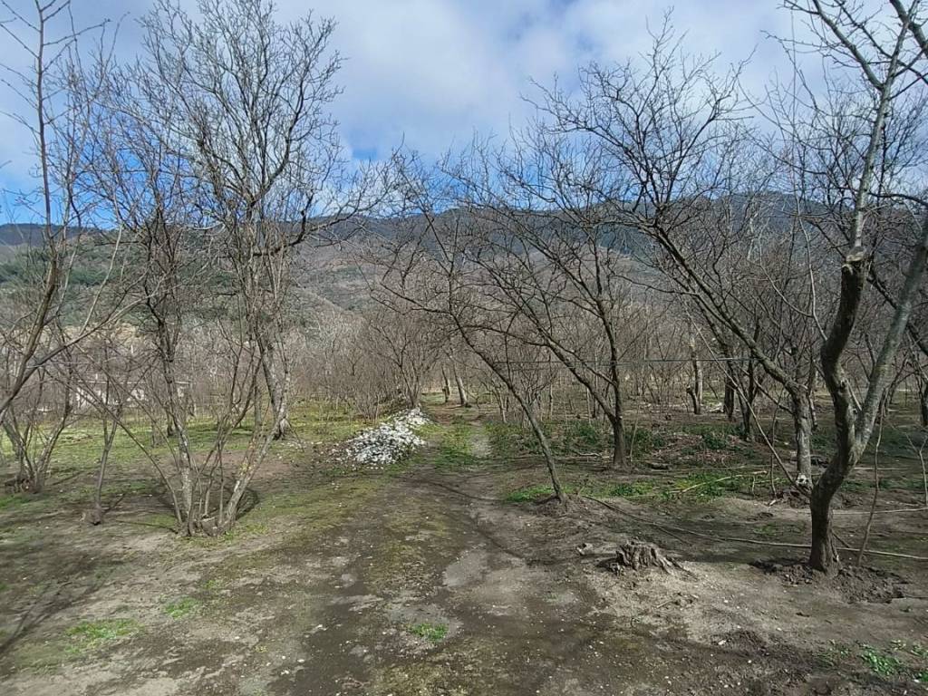 Terreno a Avella in Via Carrara - Foto 4