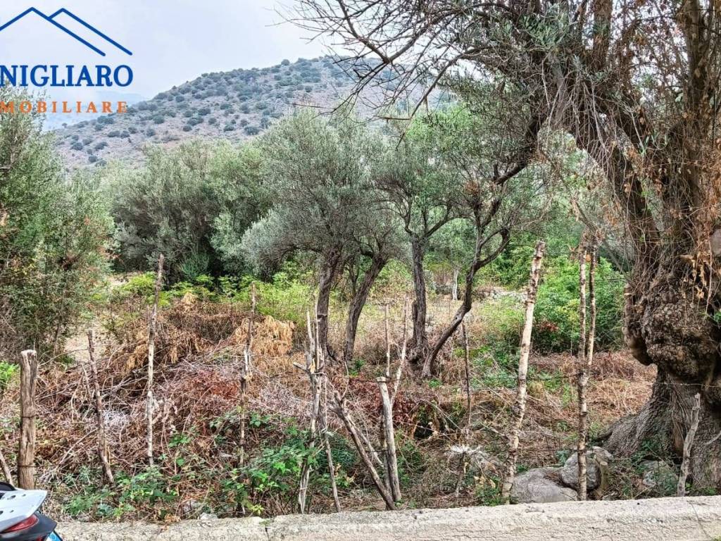 Terreno a Torretta - Foto 2