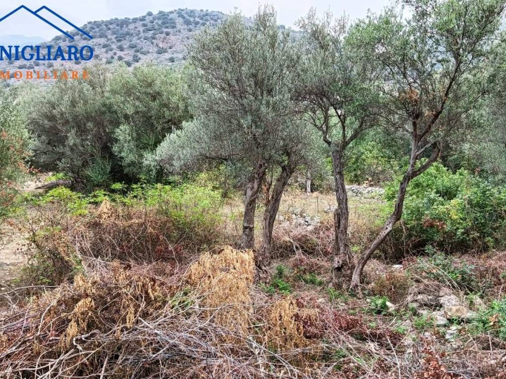 Terreno a Torretta - Foto 3