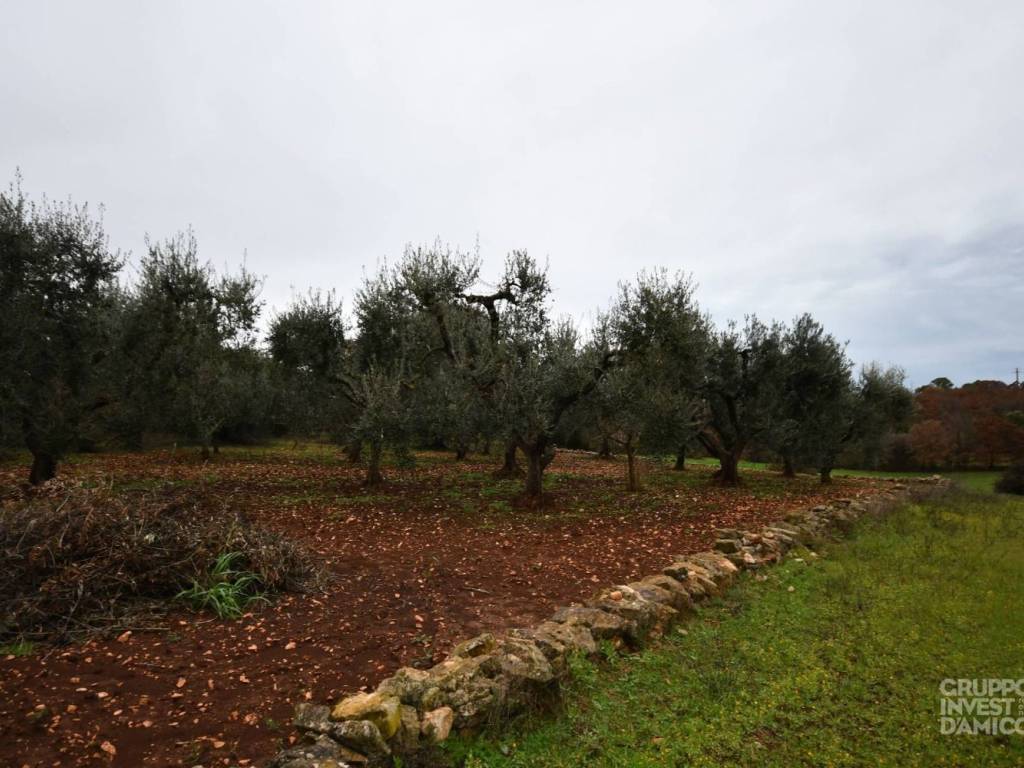 Terreno a Ostuni in Contrada Grotta, Ostuni - Foto 3
