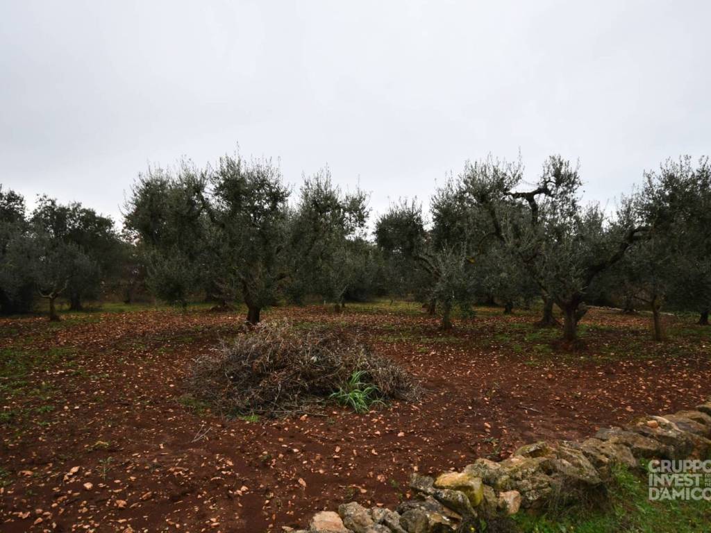 Terreno a Ostuni in Contrada Grotta, Ostuni - Foto 4