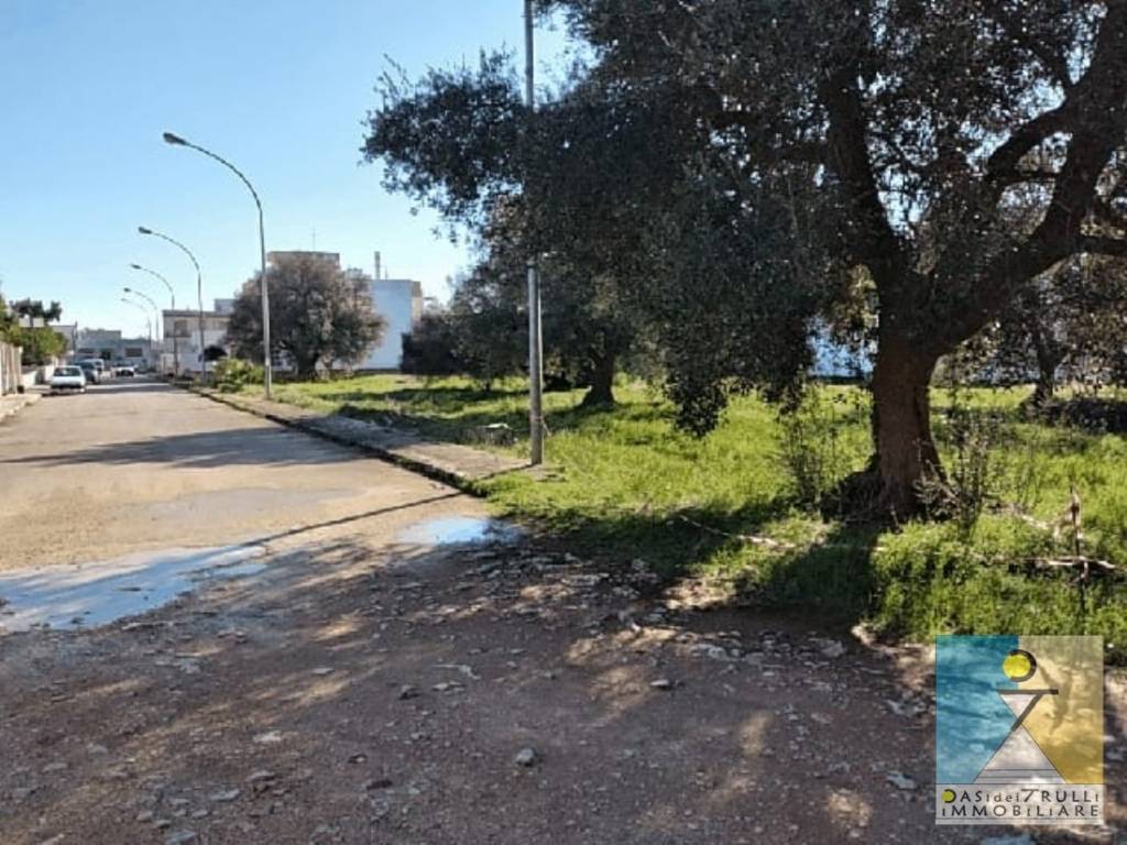 Terreno a San michele salentino in Zona di lottizzazione - Foto 5
